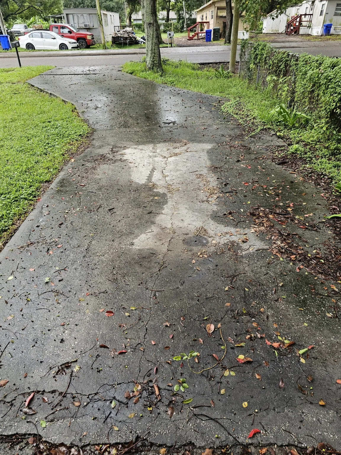 Lakeland curved concrete driveway before pressure washing, with dark buildup and scattered leaves