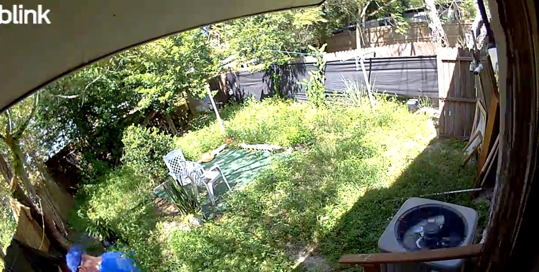The same North Lakeland backyard before cleanup, with tall grass and weeds around the patio